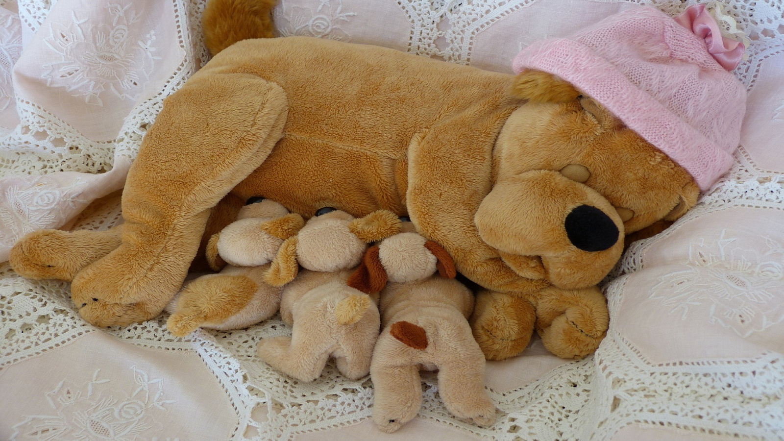 Teddy Bear - HD Wallpaper 