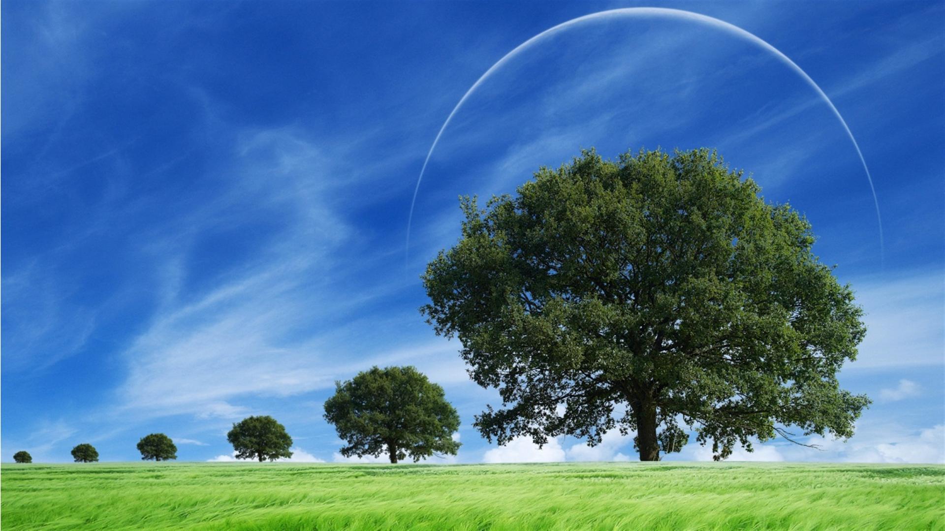 Grass Natural Wallpaper - Natural Beautiful Scenes Hd - HD Wallpaper 