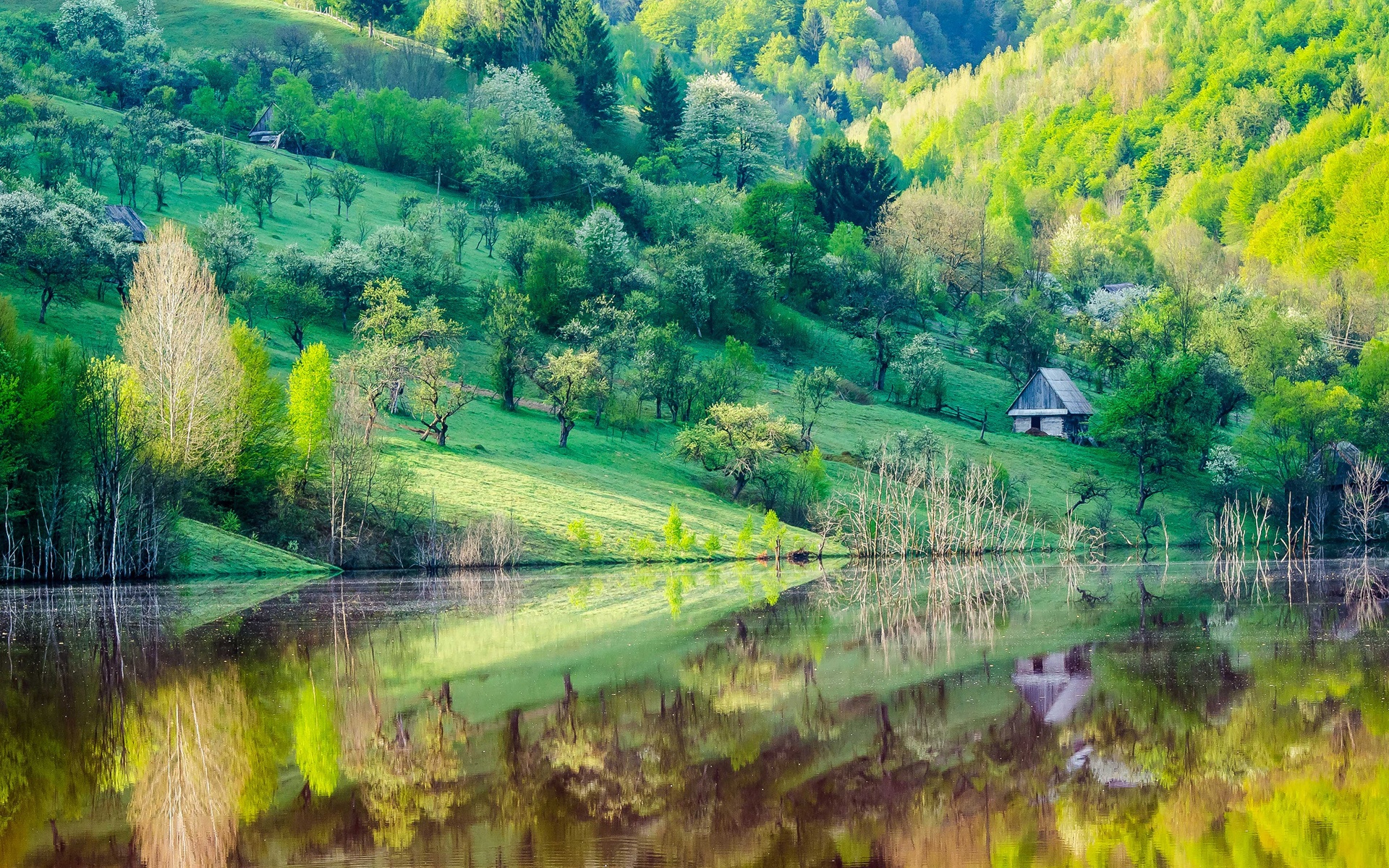 Wallpaper Mountain Slope, Trees, House, Lake, Water - Spring And Water - HD Wallpaper 