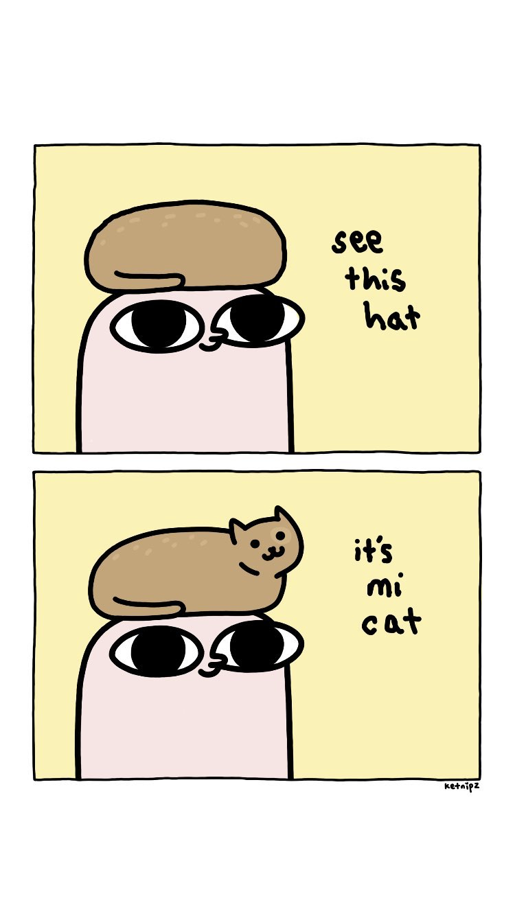 Its A Hat Meme - HD Wallpaper 