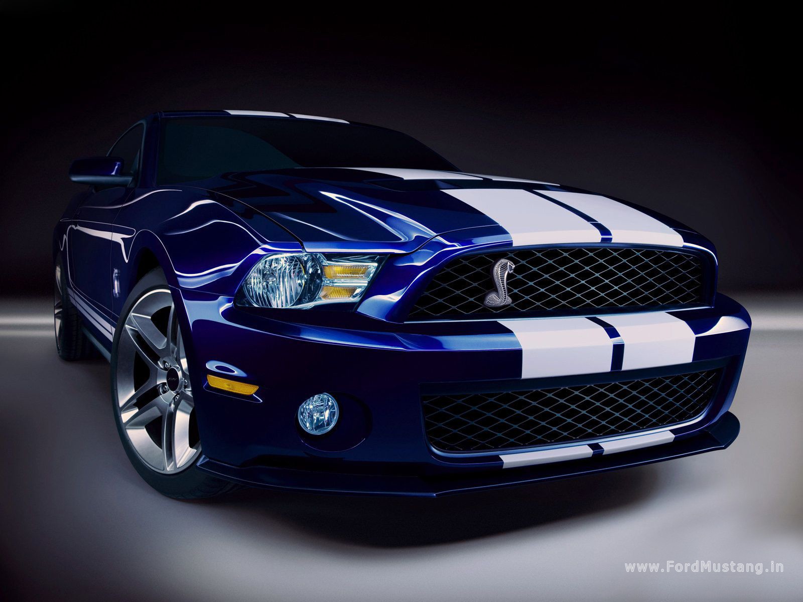 Ford Mustang Shelby Gt500 - HD Wallpaper 