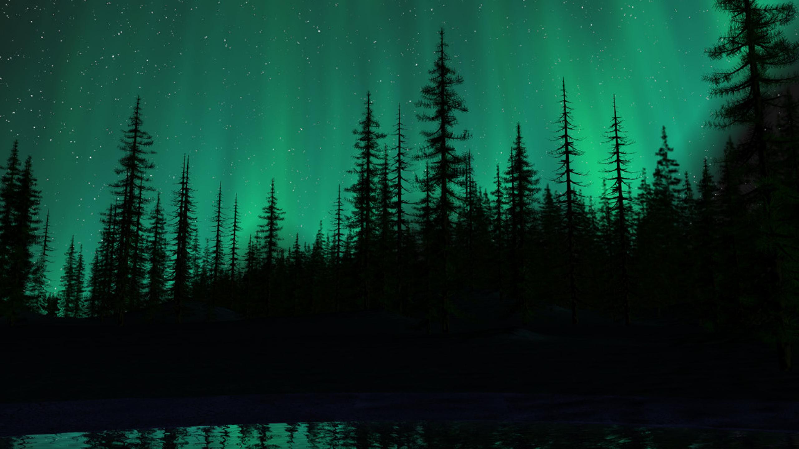 Forest With Northern Lights - HD Wallpaper 