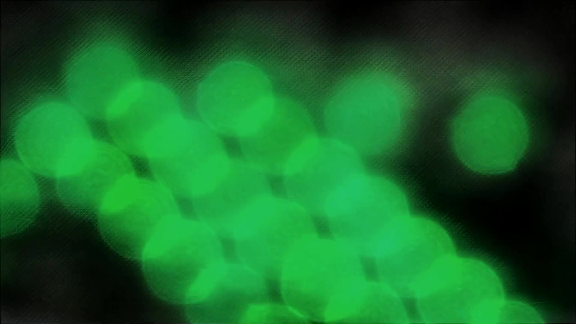 Colorfulness - HD Wallpaper 