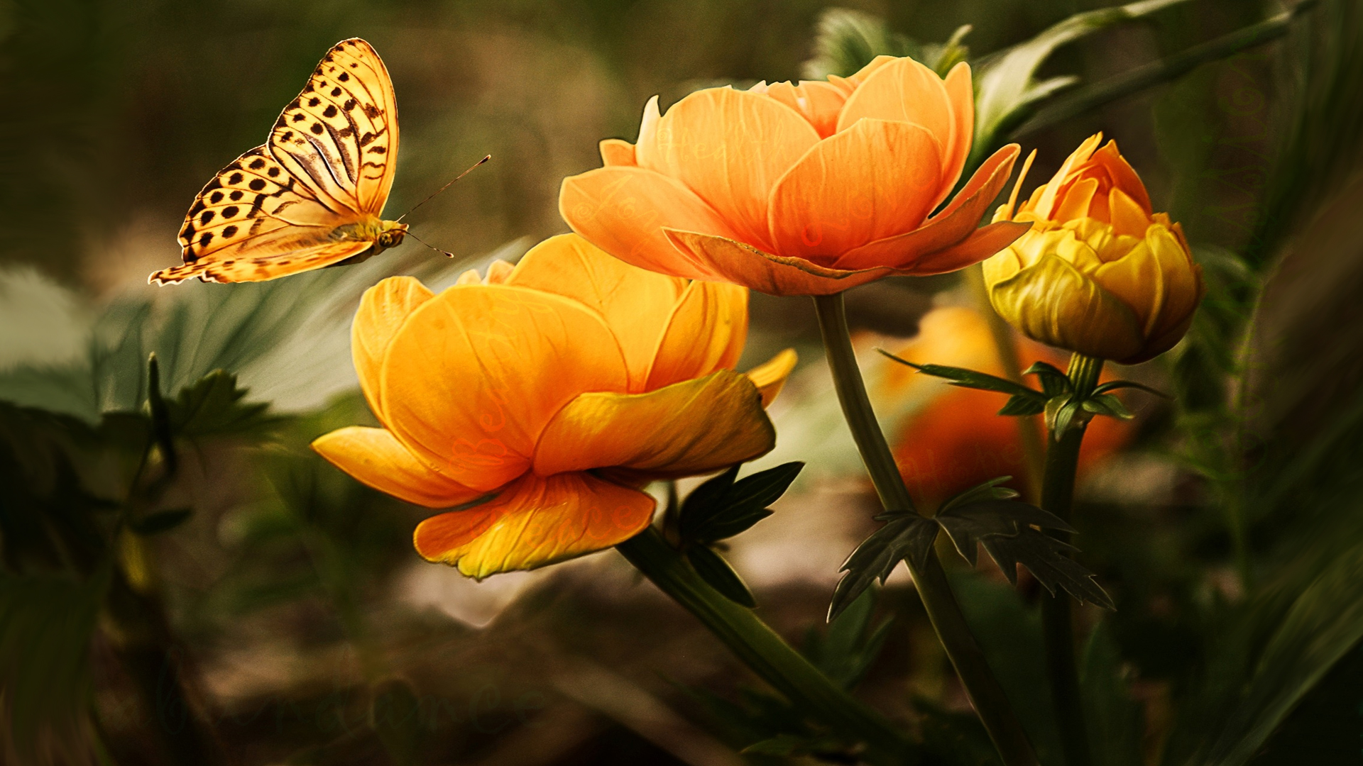 Free Subliminal Message Desktop Wallpapers Created - Rarest Flowers - HD Wallpaper 