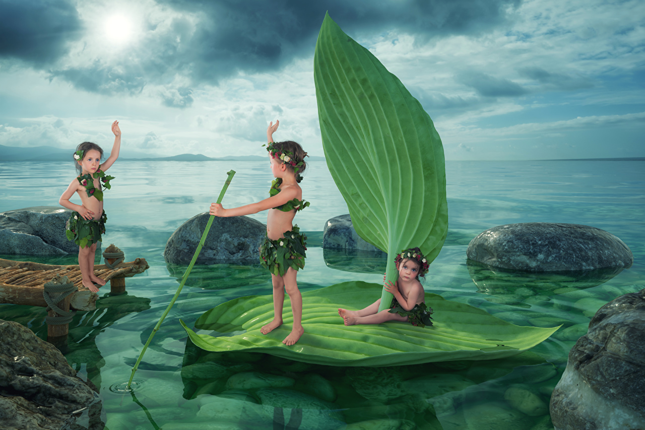 Wallpaper - HD Wallpaper 