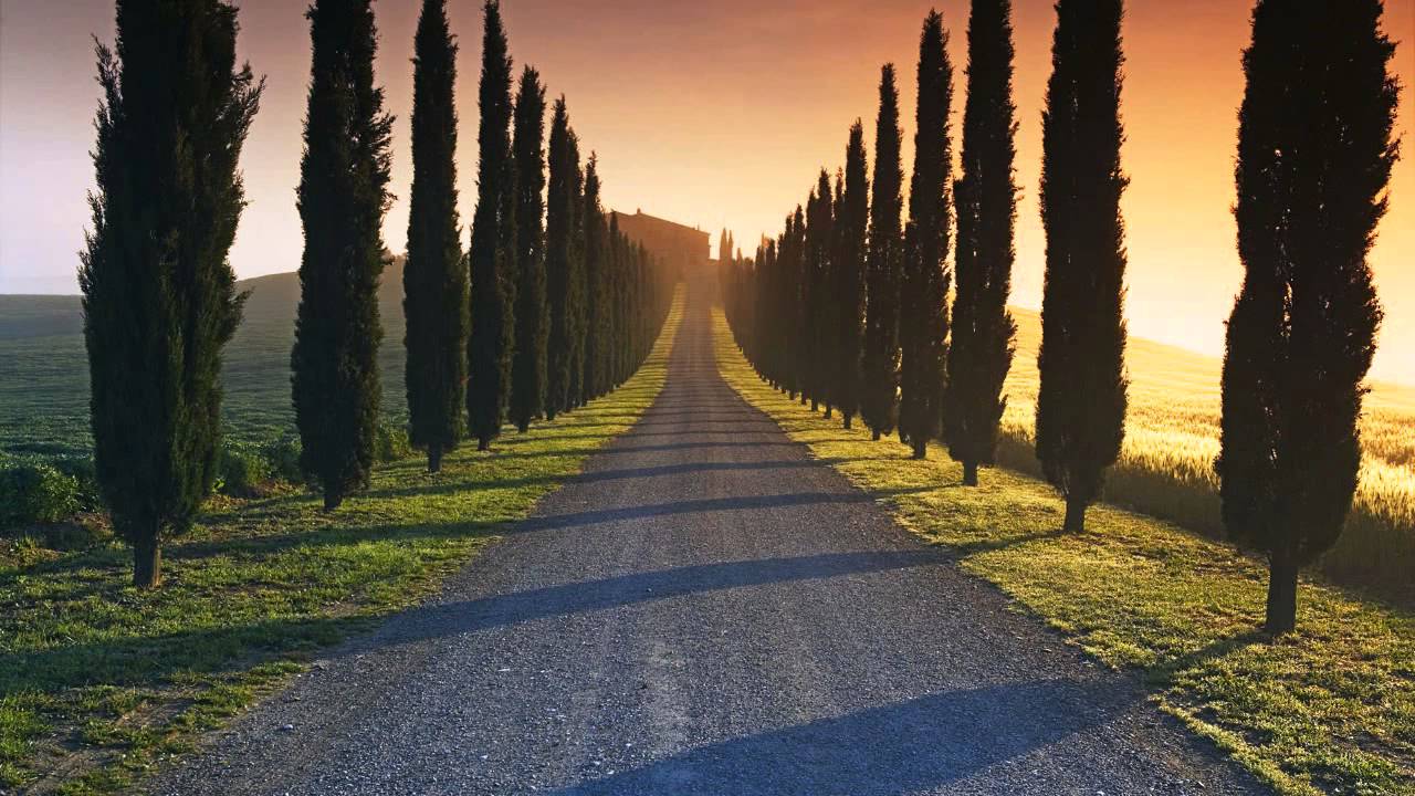 Tuscany Trees - HD Wallpaper 
