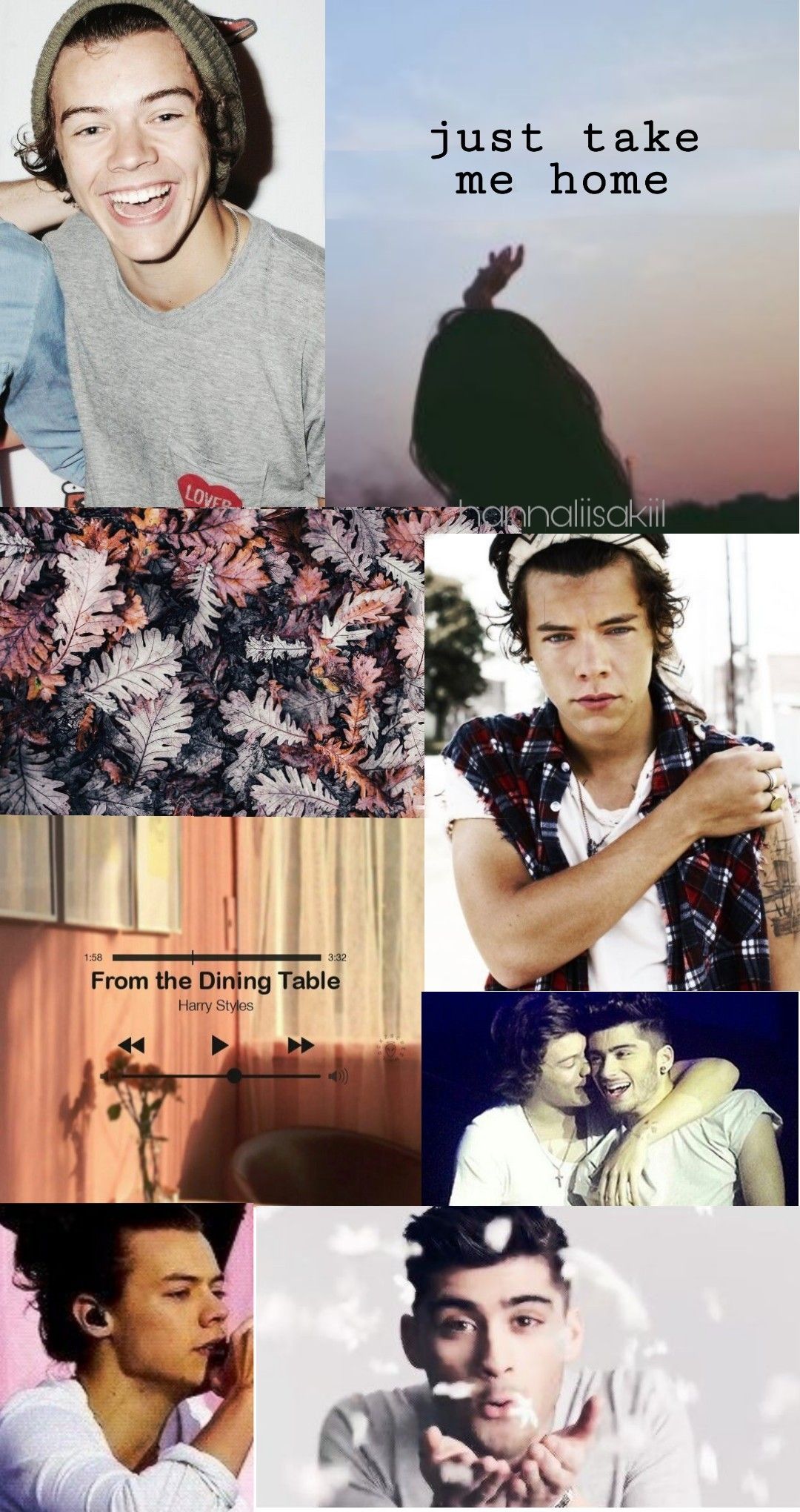 Zarry Wallpaper For Iphone - HD Wallpaper 