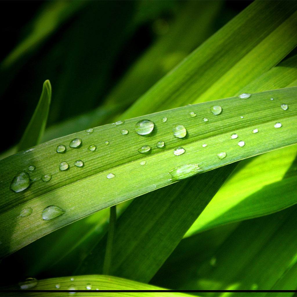 Ic3d Ipad Wallpaper - Top Best Hd Wallpapers For Mobile - HD Wallpaper 