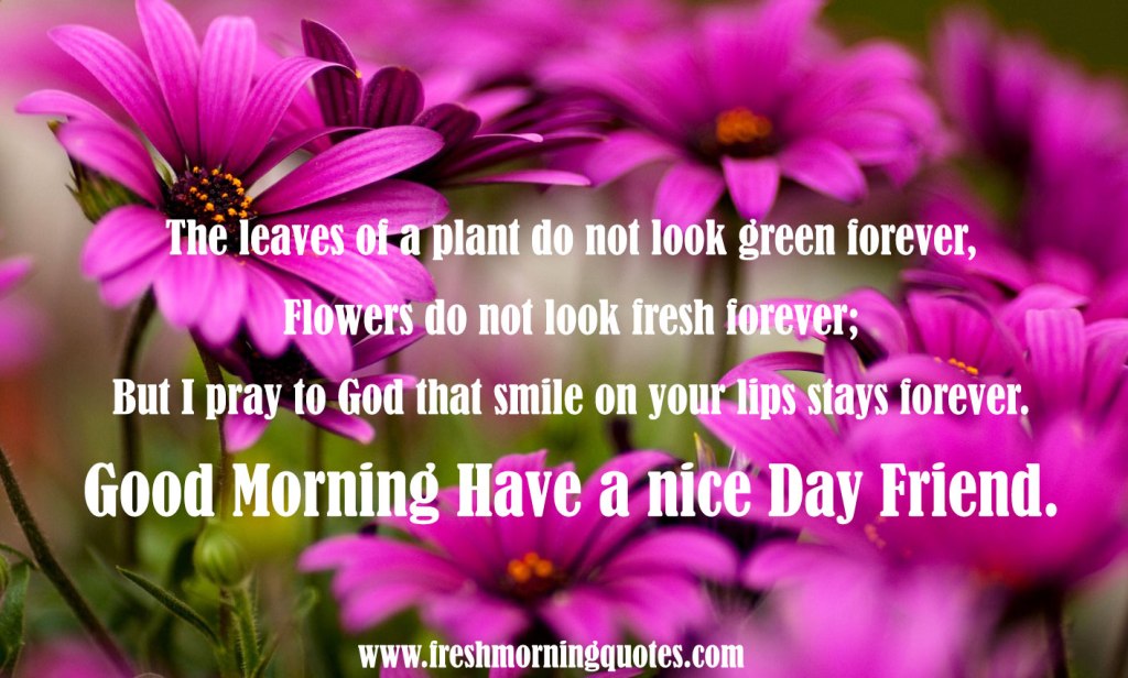 Good Morning Friend Have A Nice Day Images - Good Morning Wish To A Friend - HD Wallpaper 