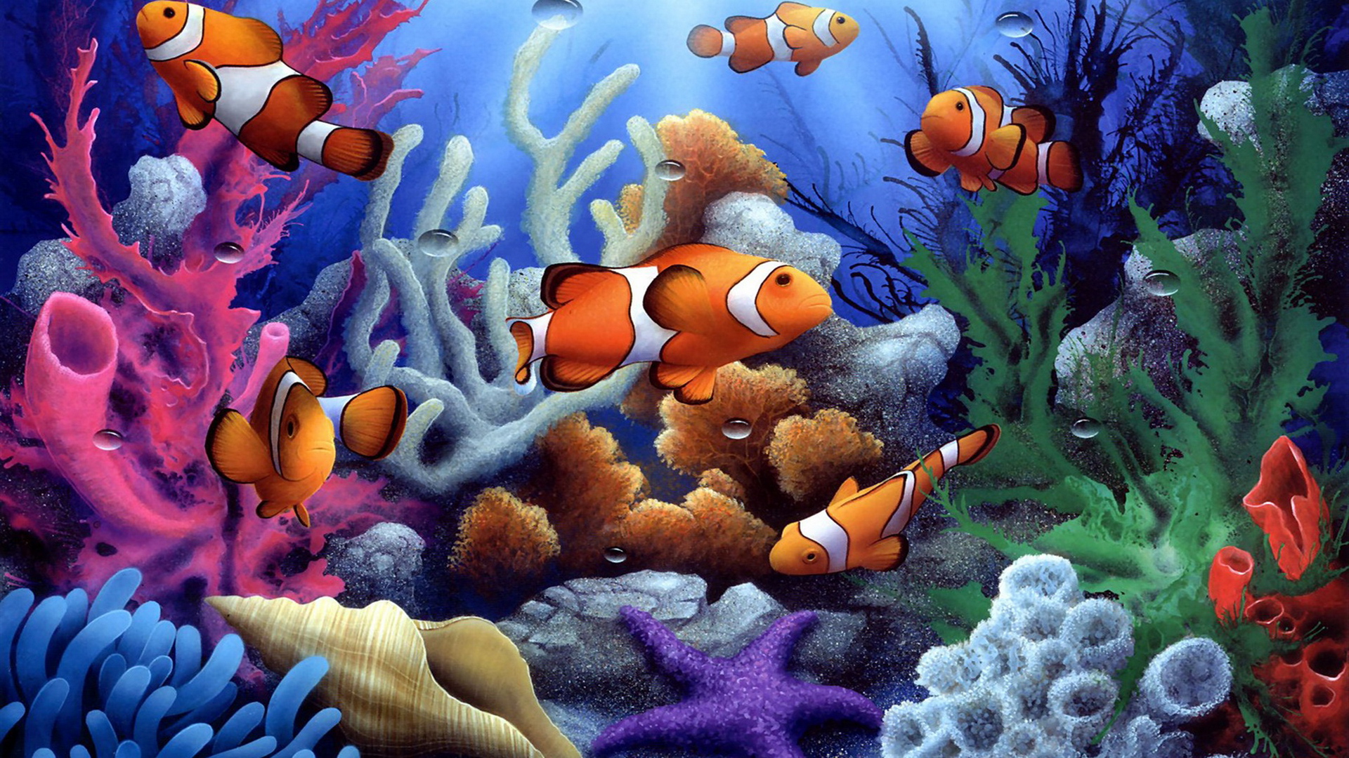 Clown Fish - Fundo Do Mar Corais E Peixes - HD Wallpaper 
