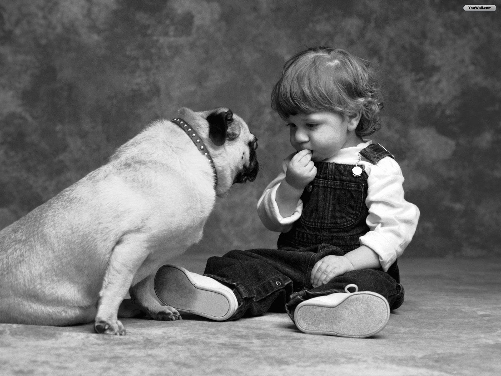 Cute Little Boy With Dog Best Friend Wallpaper - Friendship Day With Dogs - HD Wallpaper 