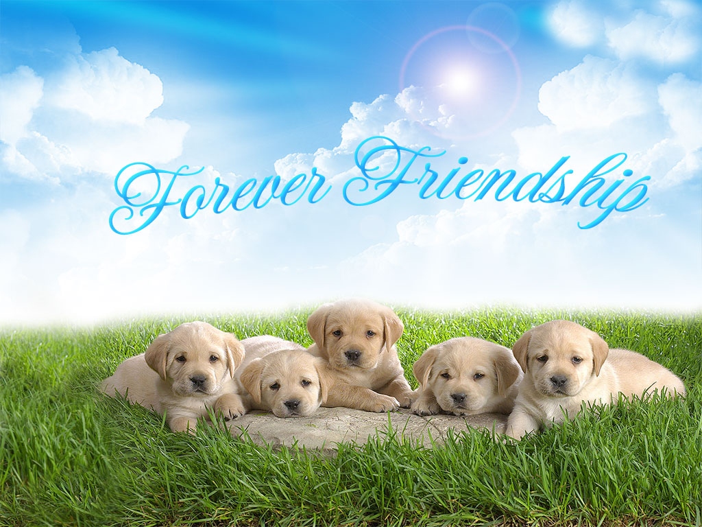 Friendship Images For Whatsapp Dp Free Download - 1024x768 Wallpaper -  