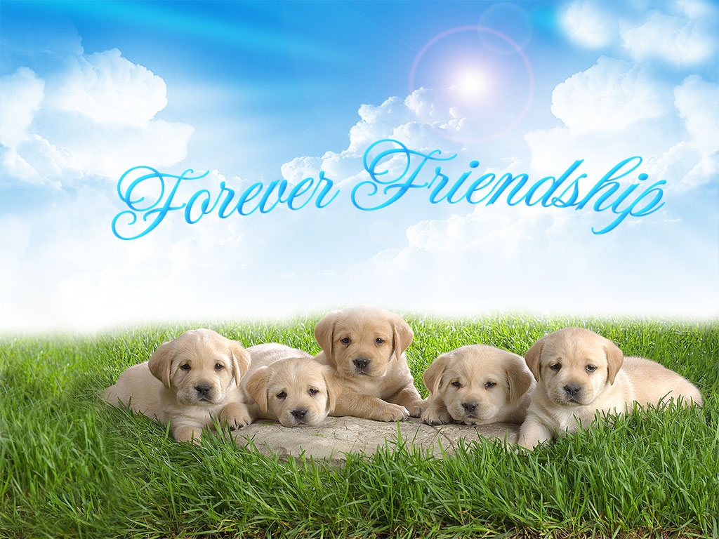 Friendship Images For Whatsapp Dp Free Download - 1024x768 Wallpaper - Friendship Images For Whatsapp Dp Free Download - 1024x768 Wallpaper -