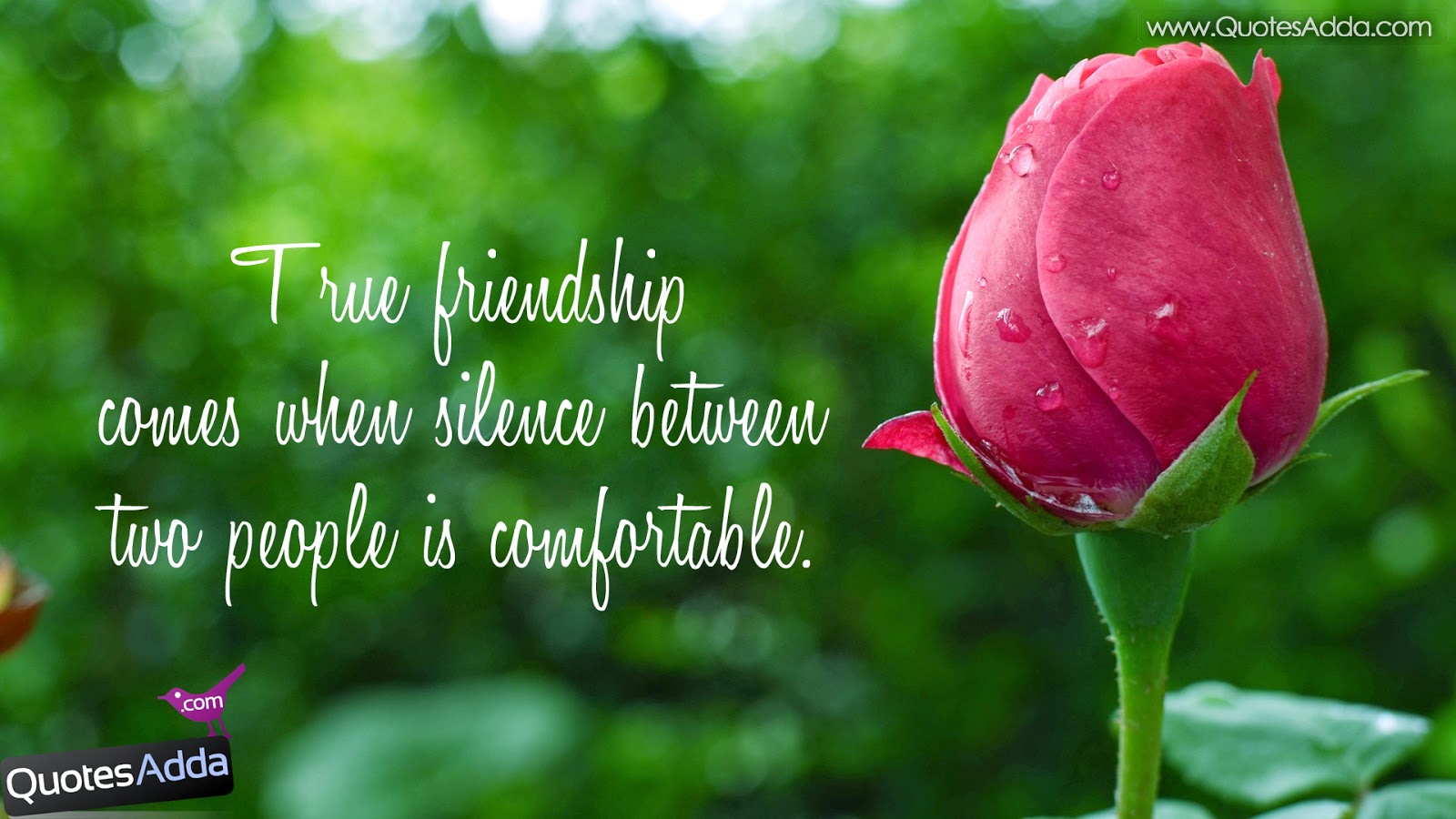 Cute Friendship Quotes With Images Friendship Wallpapers - Warren Street Tube Station - HD Wallpaper 