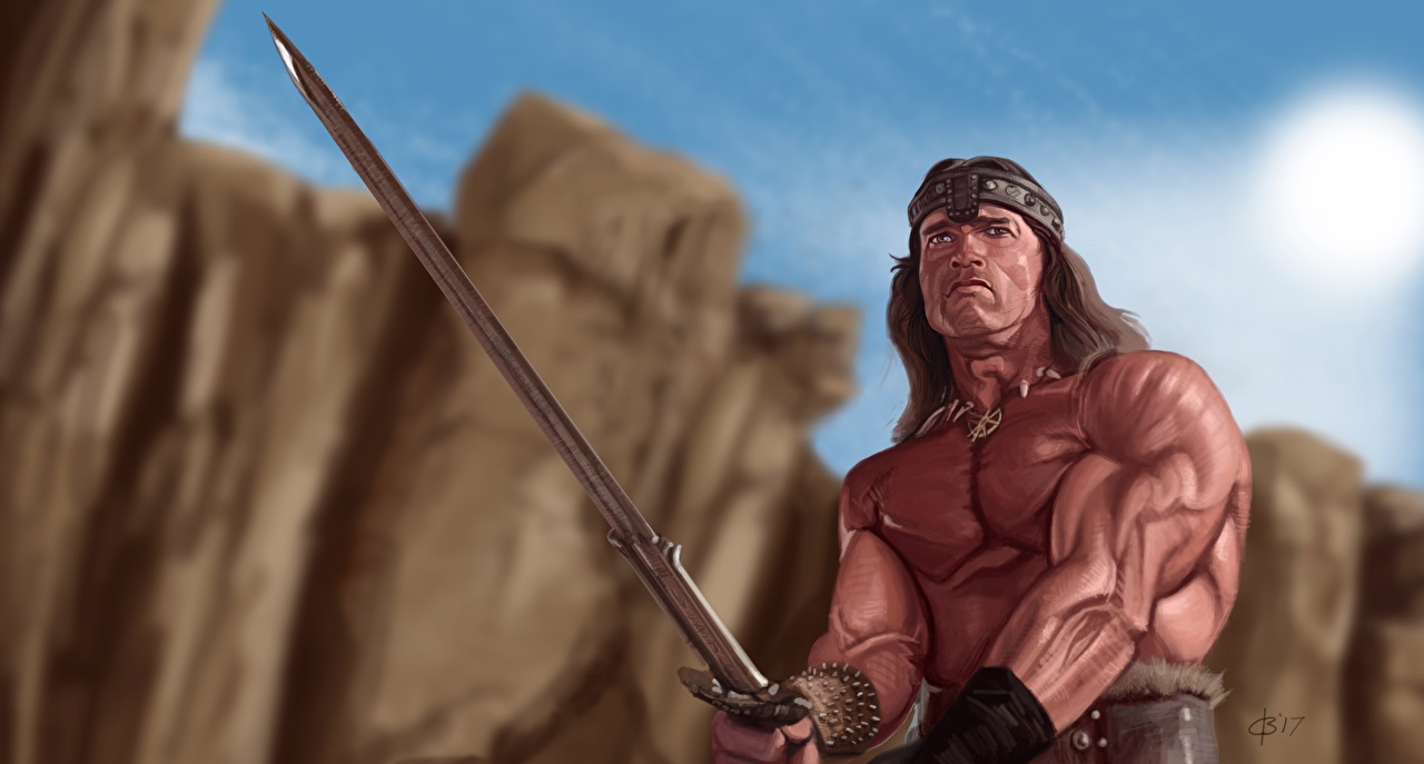 Arnold Schwarzenegger Conan - HD Wallpaper 