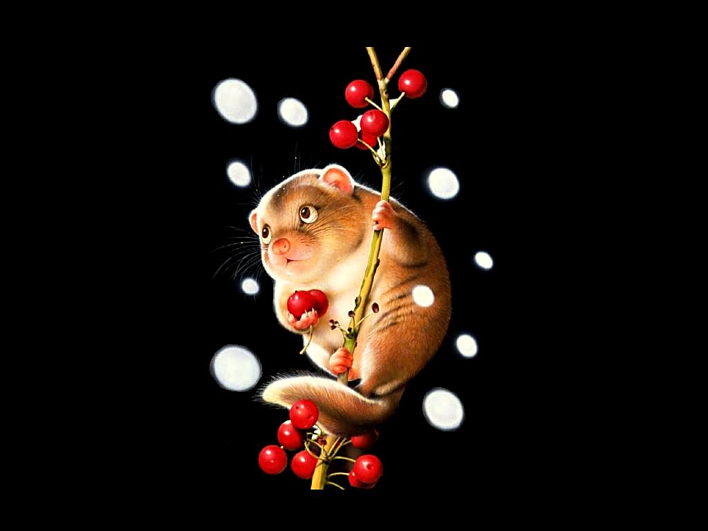 Balaji 3d Wallpaper - Makoto Muramatsu - HD Wallpaper 