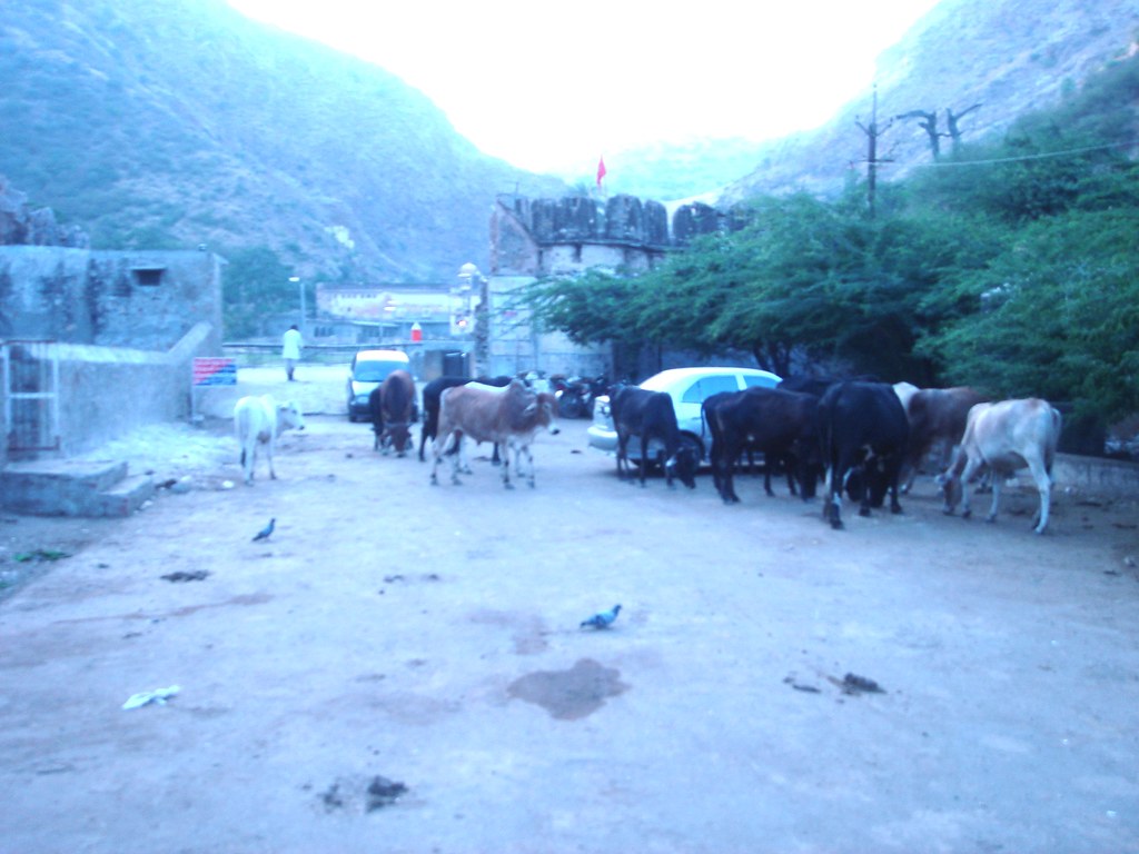 Mehandipur Balaji Temple - HD Wallpaper 