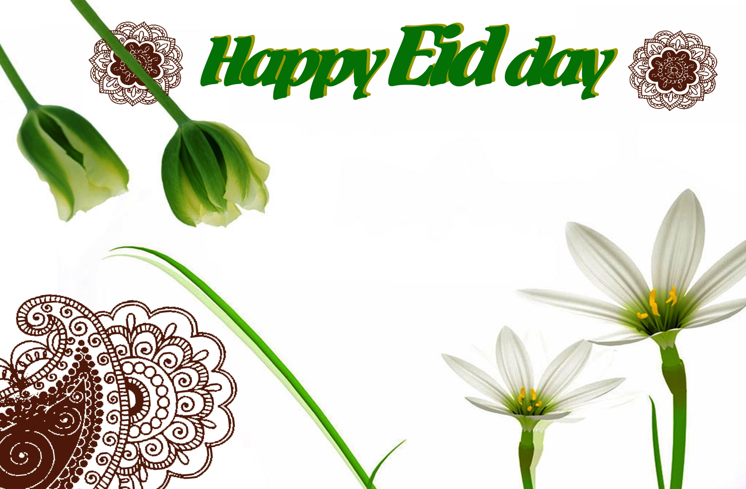 Cute - Friendship - Wallpapers - New Year Wishes Flowers - HD Wallpaper 