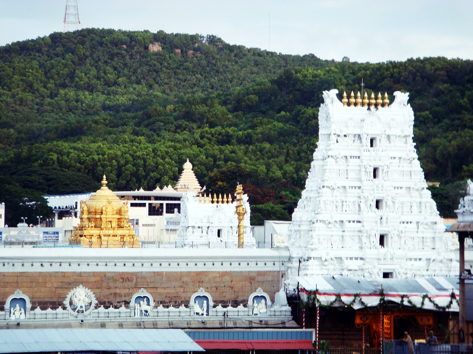 Tirupati Balaji Temple - Tirumala Venkateswara Temple - HD Wallpaper 