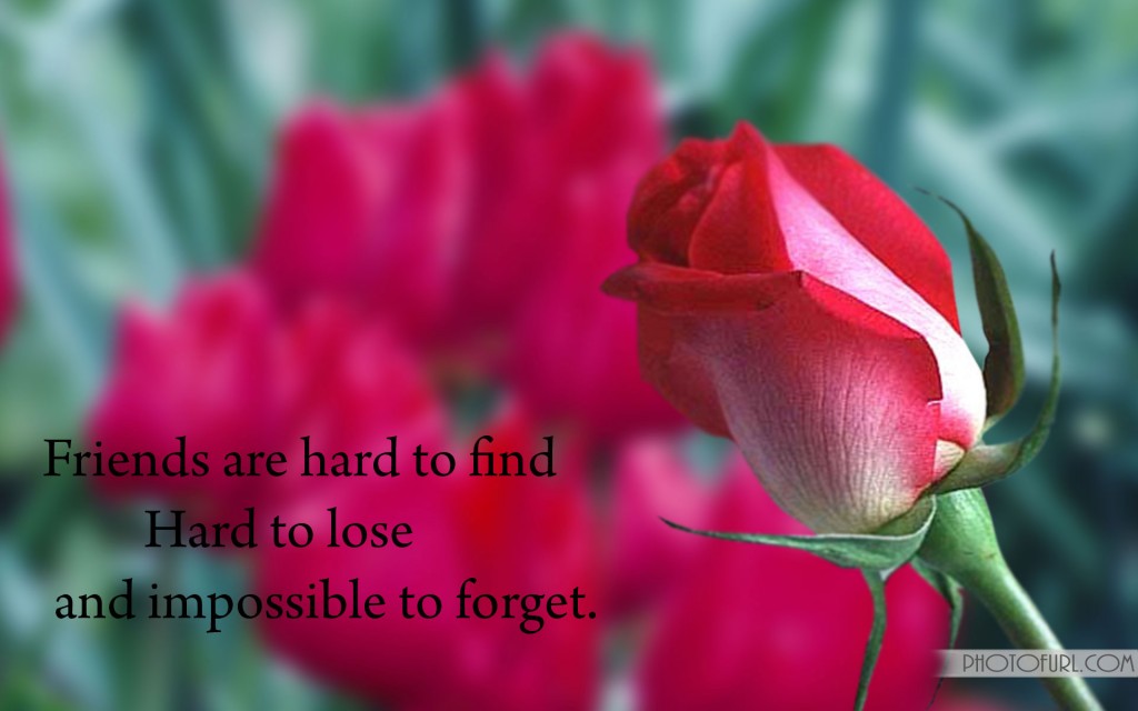 Quotes With Flowers In Friends - HD Wallpaper 