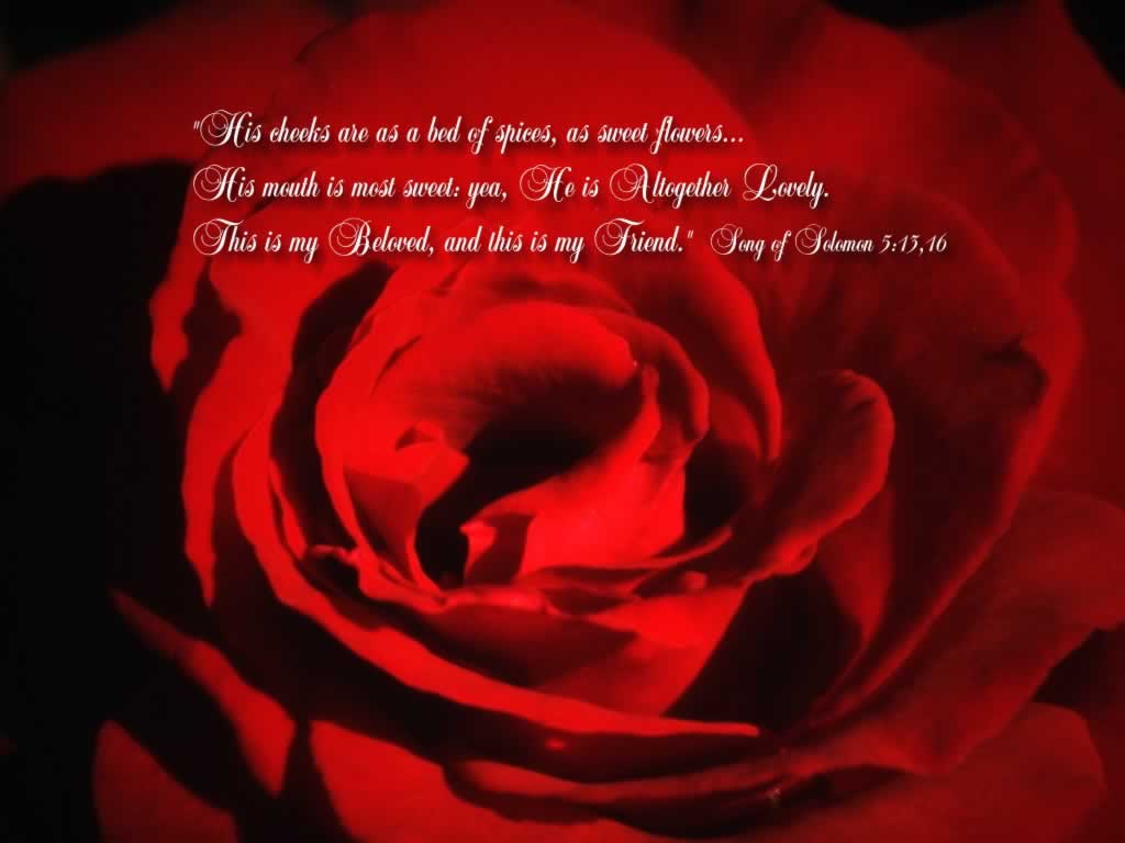 Song Of Songs - Song Of Song 5 13 - HD Wallpaper 