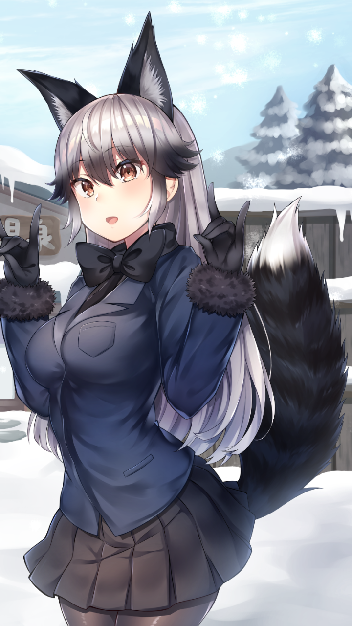 Kemono Friends Silver Fox - HD Wallpaper 
