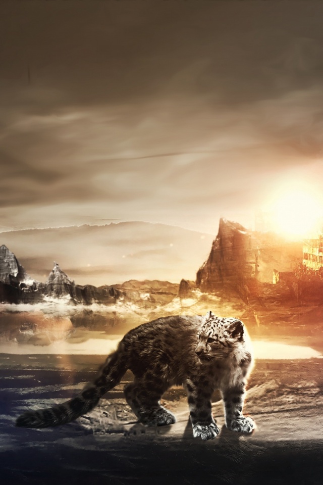 Leopard Wallpaper Hd For Android Phone - HD Wallpaper 