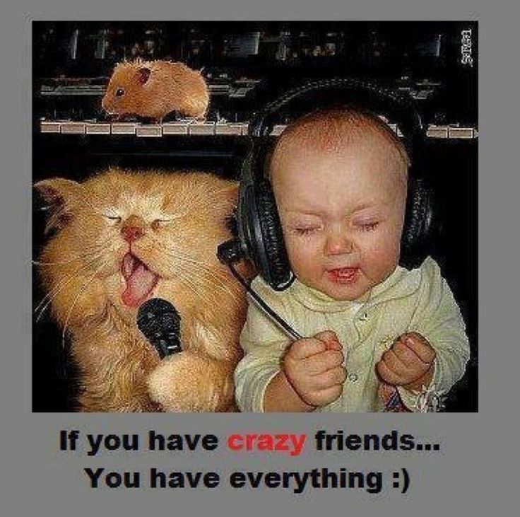 Friends Funny Quotes Sayings - HD Wallpaper 