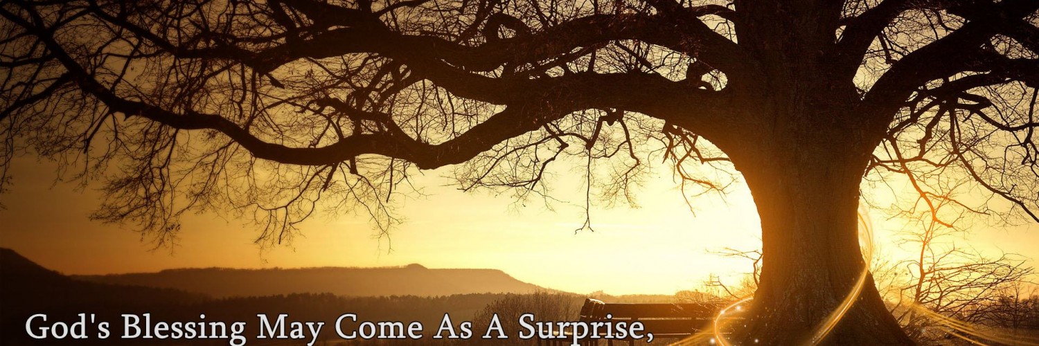 Genealogical Research - HD Wallpaper 