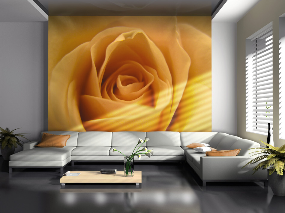 Photo Wallpaper Yellow Rose A Symbol Of Friendship - Modern Drawing Room Furniture - HD Wallpaper 
