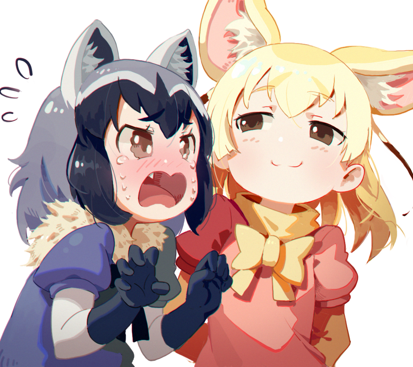 Fennec And Raccoon Kemono Friends - HD Wallpaper 