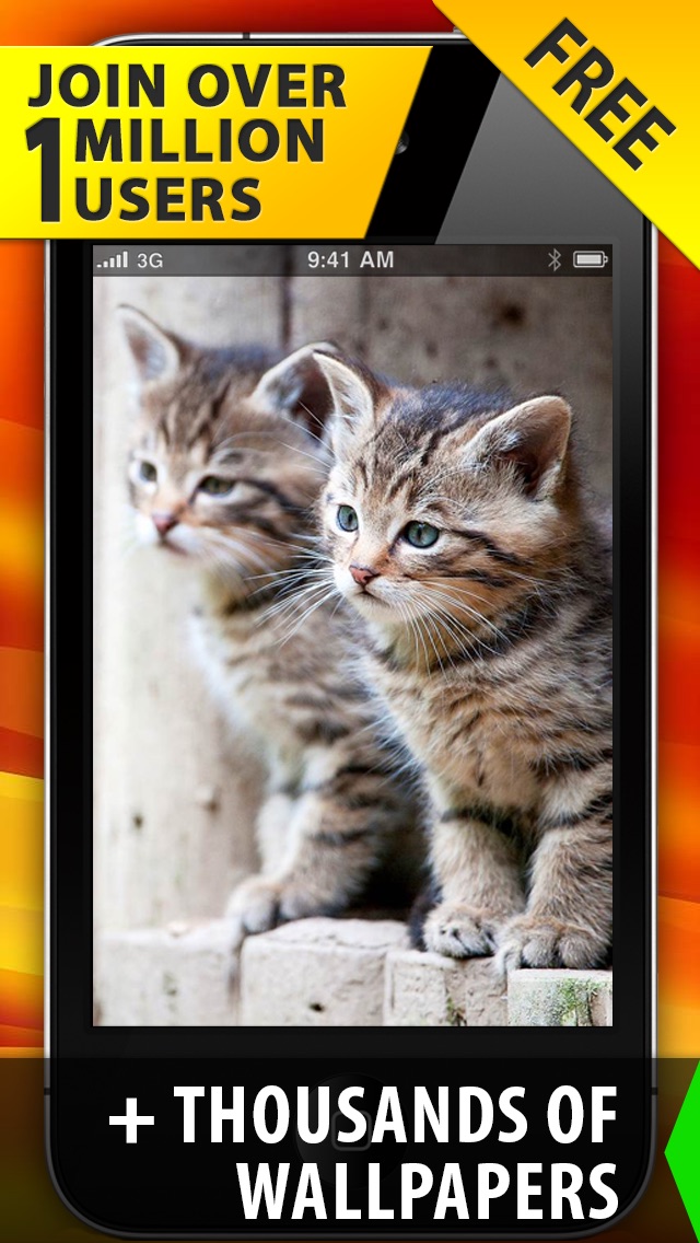 Wildcat - HD Wallpaper 