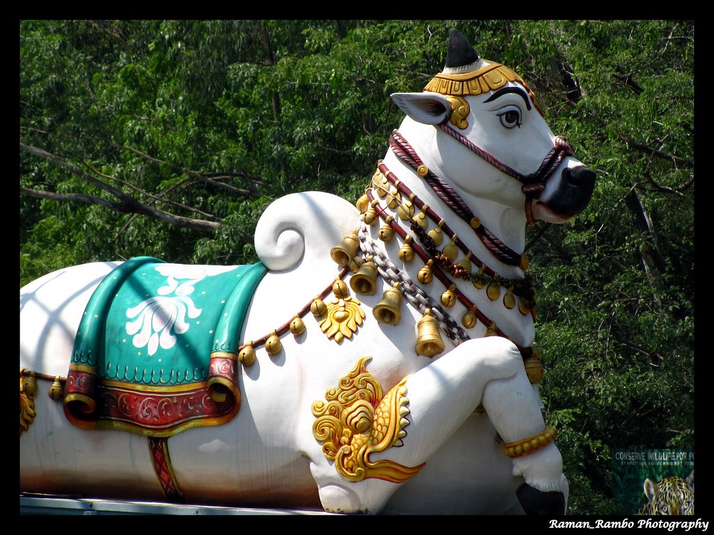 Nandi Balaji - 1024x768 Wallpaper Nandi Balaji - 1024x768 Wallpaper