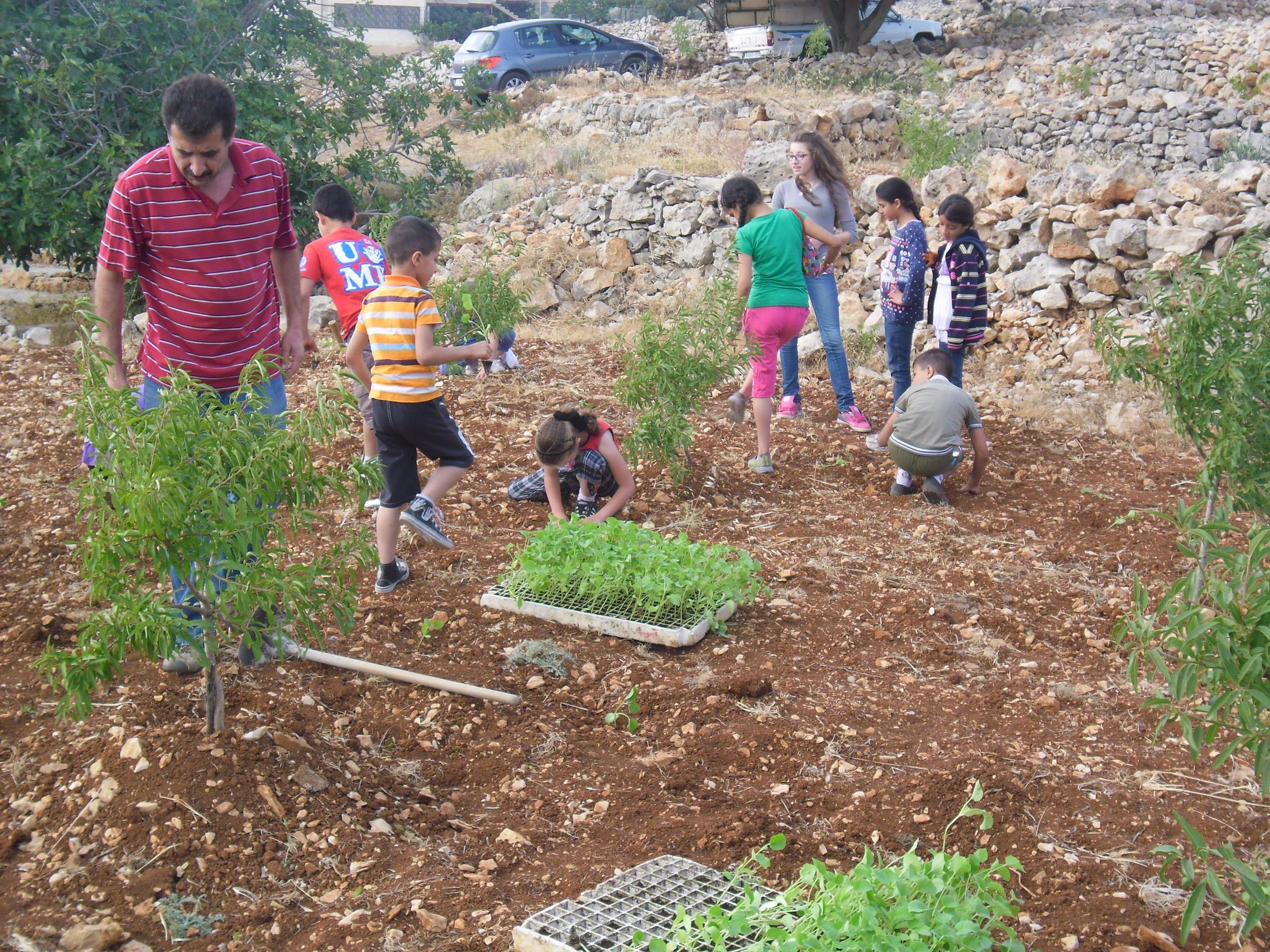 Windows 7 Differenti Wallpaper Su Ciascun Monitor - Cash Crop - HD Wallpaper 