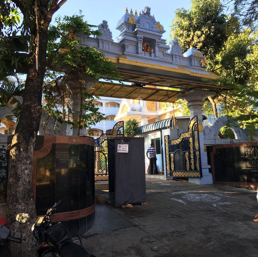 Tirupati Image - Tree - HD Wallpaper 