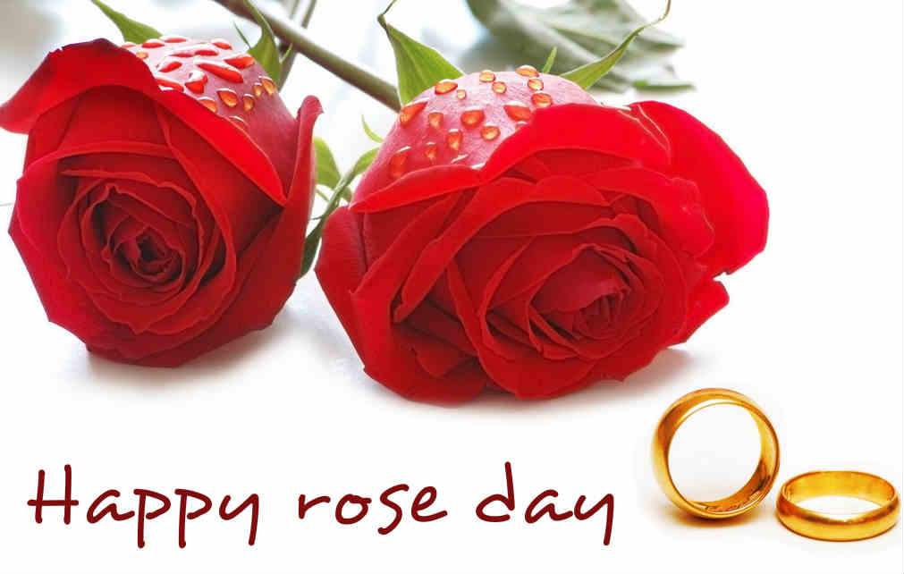 Happy Rose Day 2019 Images Download - HD Wallpaper 