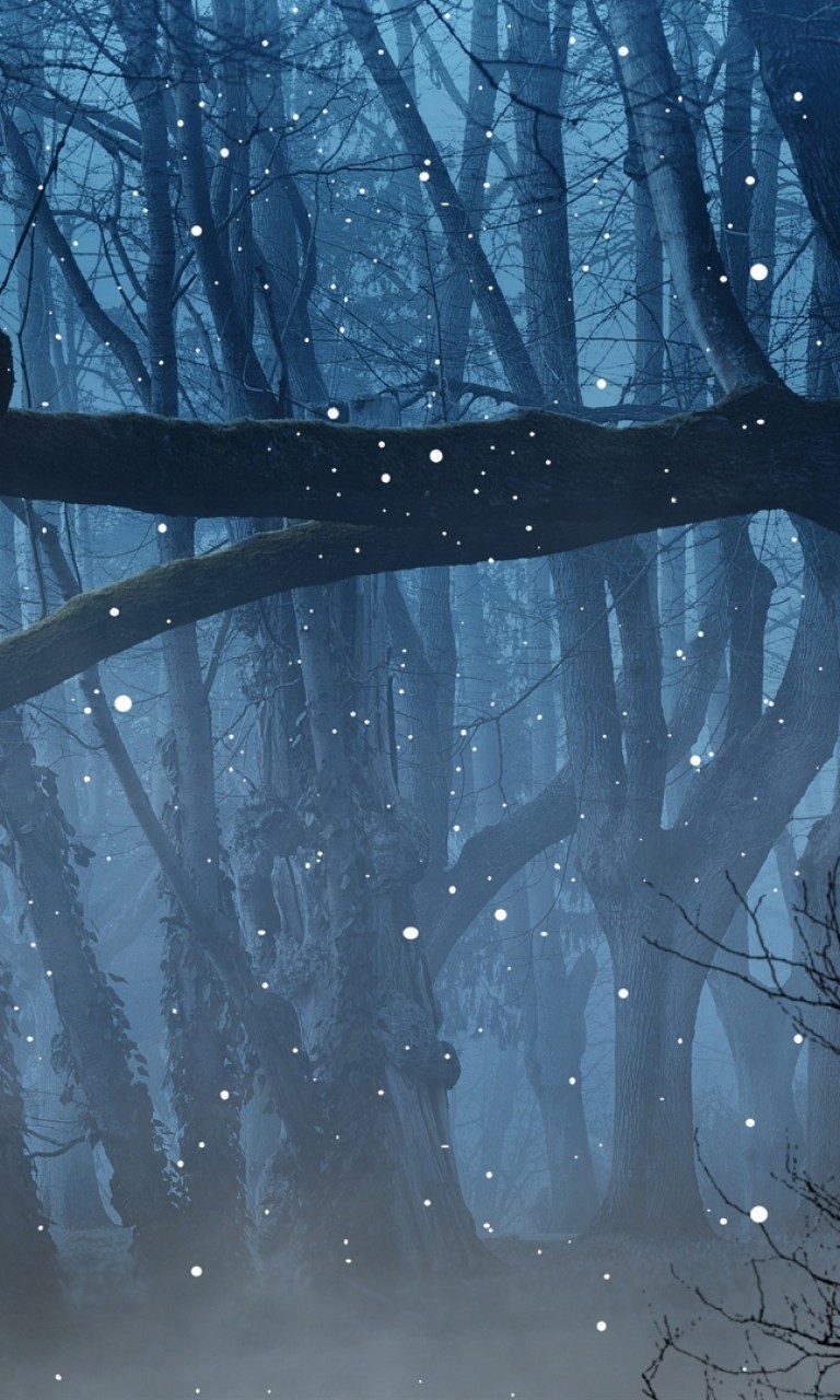 Fireflies At Bhandardara - HD Wallpaper 