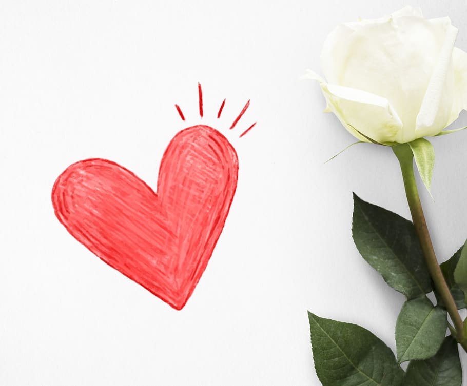 Art, Beautiful, Boyfriend, Card, Celebrating, Celebration, - White Rose Flower Background - HD Wallpaper 