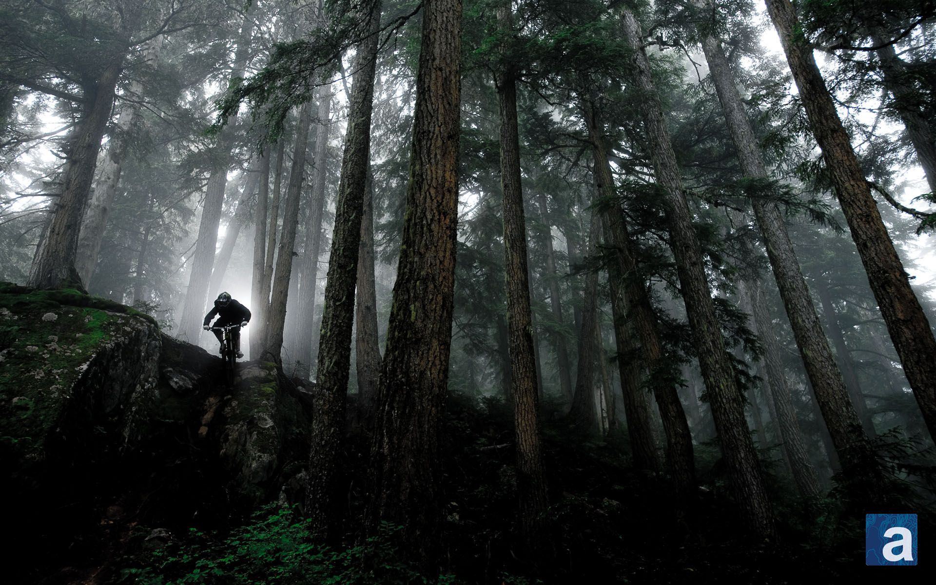 Downhill Mountain Bike Wallpapers Wallpaper 1920 1200 - Mountain Bike Wallpaper Full Hd - HD Wallpaper 