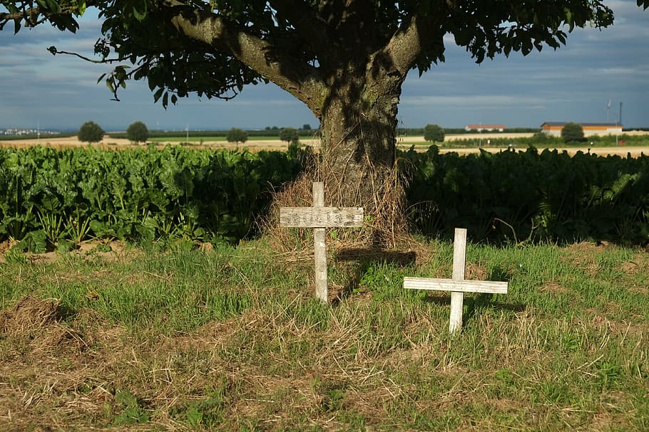 Mourning, Death, Cross, Cemetery, Commemorate, Silent, - Tumba En El Campo - HD Wallpaper 