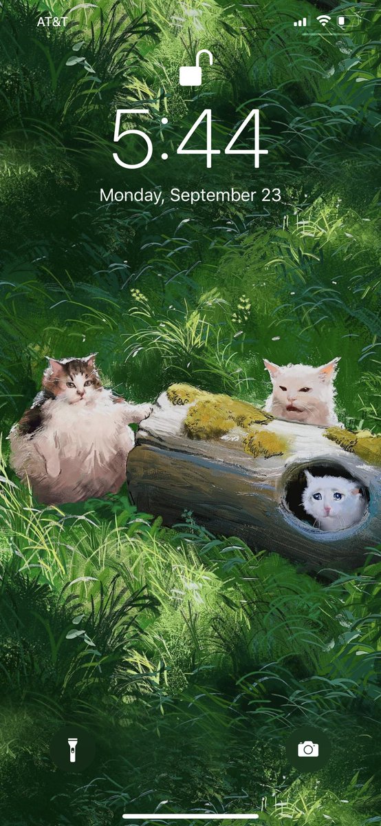 Espen Olsen Sætervik Cats - HD Wallpaper 