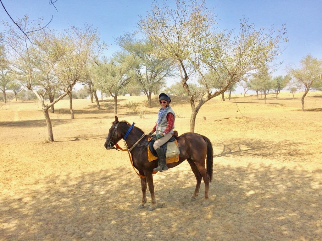 Horse Riding India - HD Wallpaper 