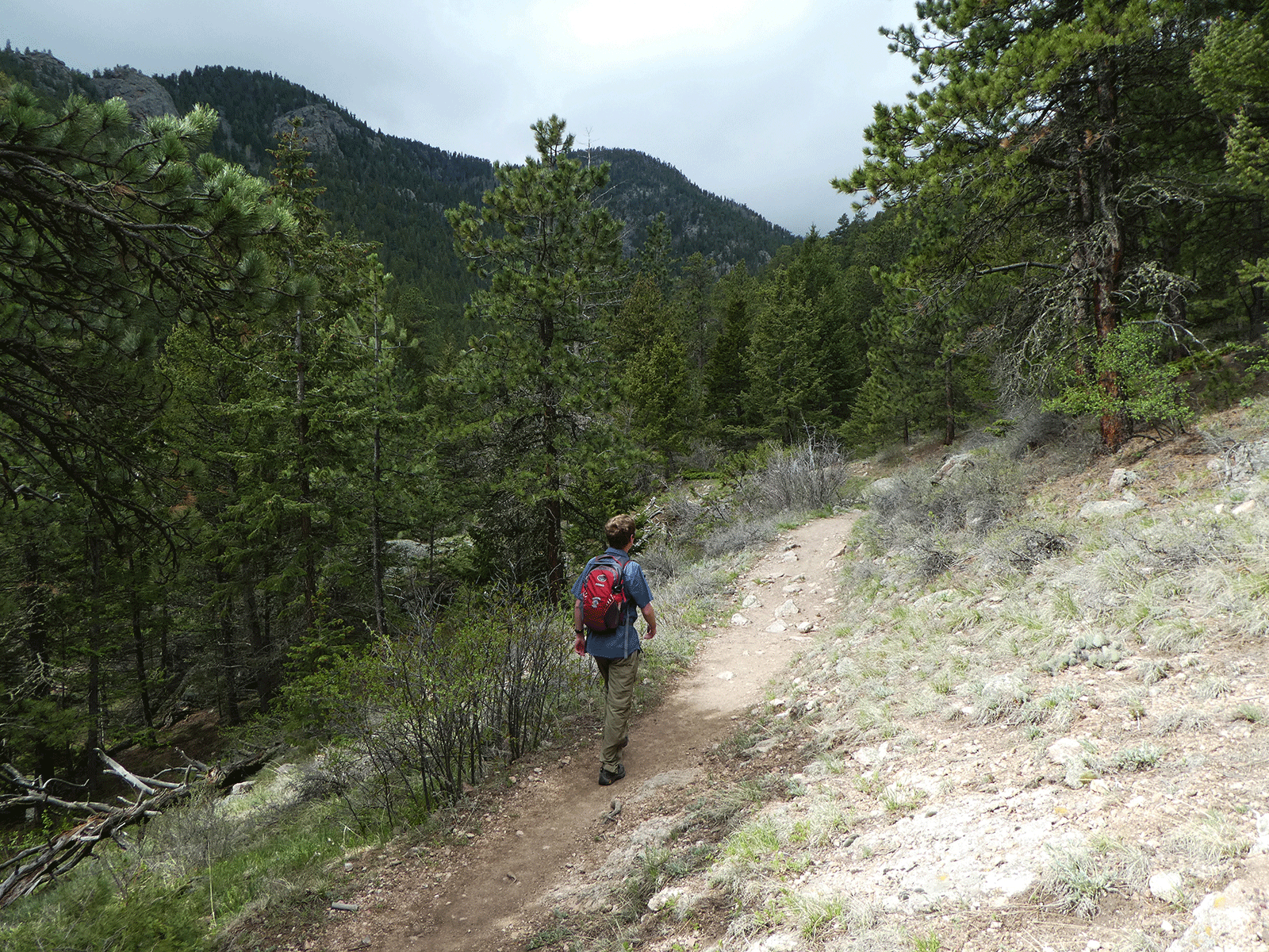 Trail - HD Wallpaper 