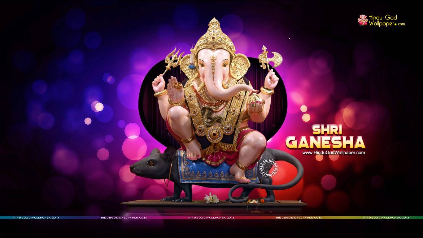 Performance - HD Wallpaper 