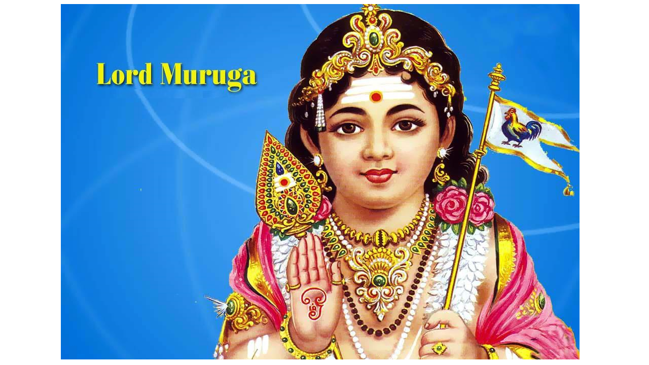 Lord Murugan - HD Wallpaper 