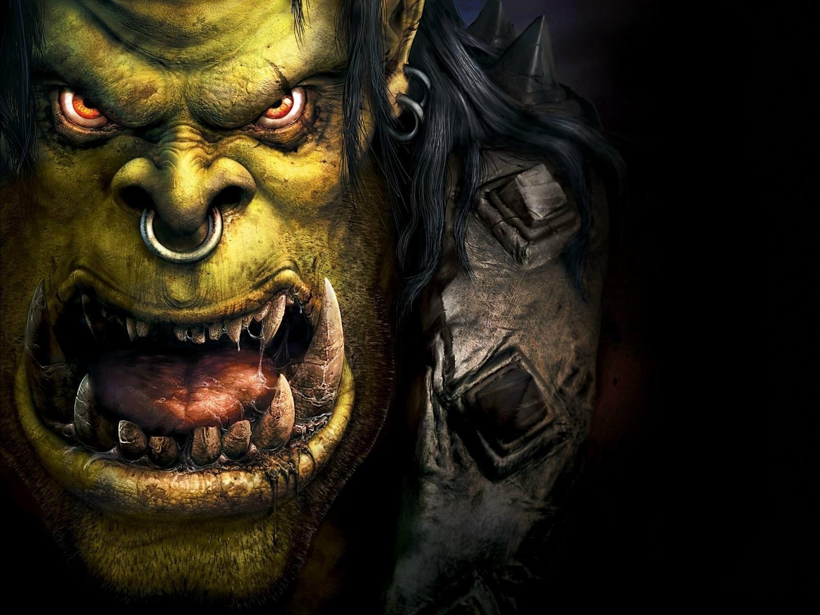 Wow Warrior Wallpaper - Warcraft 3 Reign Of Chaos Poster - HD Wallpaper 