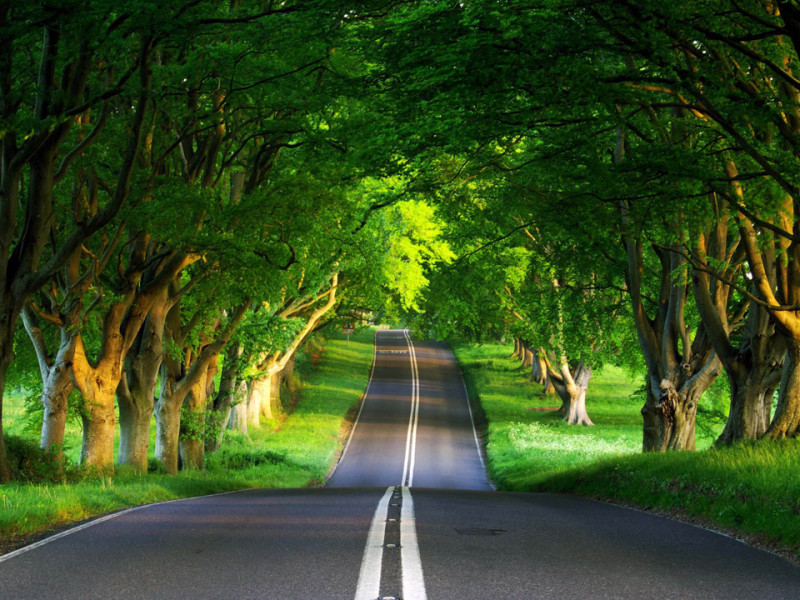 Wallpaper For Smartphone Free Download - HD Wallpaper 