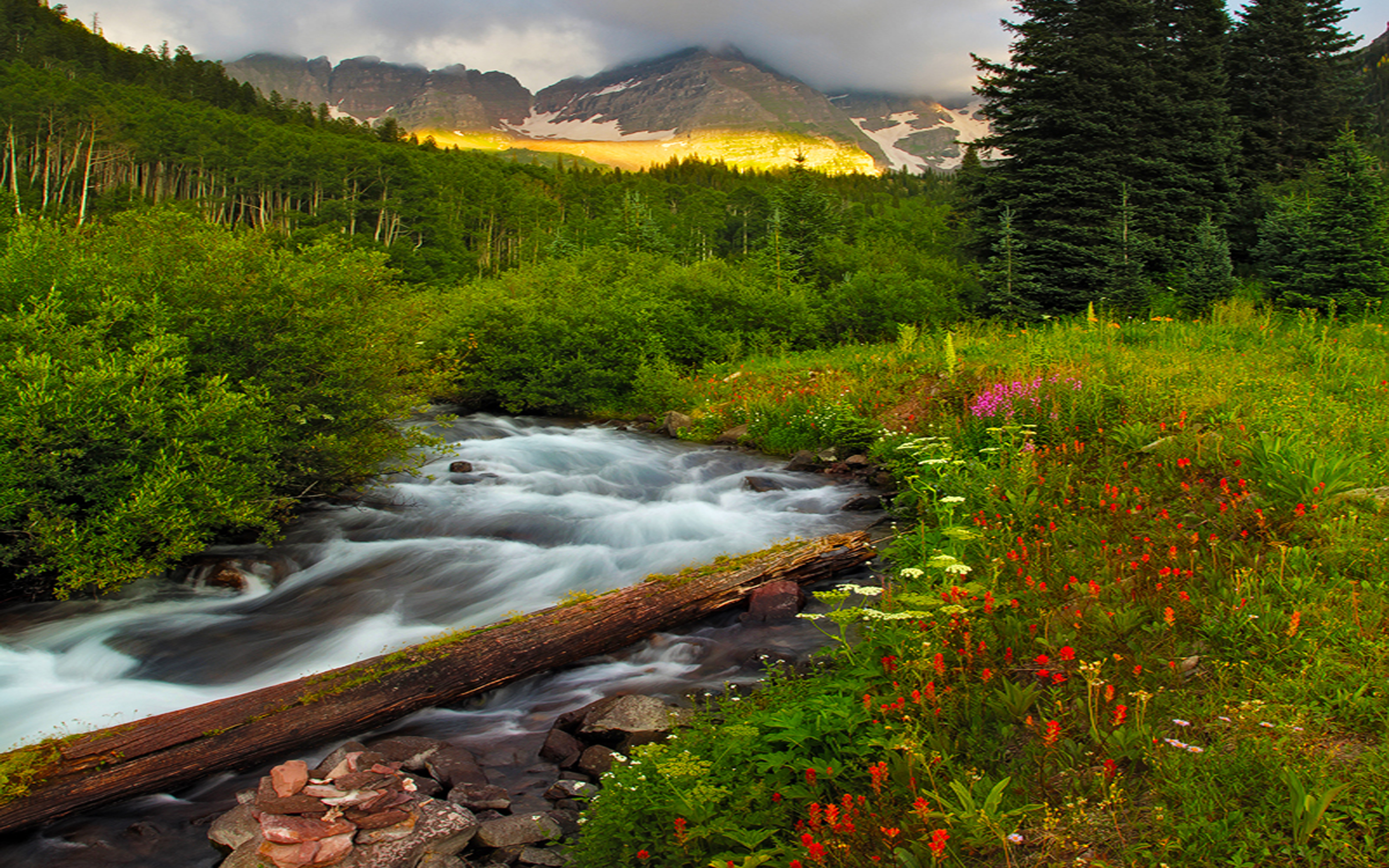 Mountain River And Flower - HD Wallpaper 