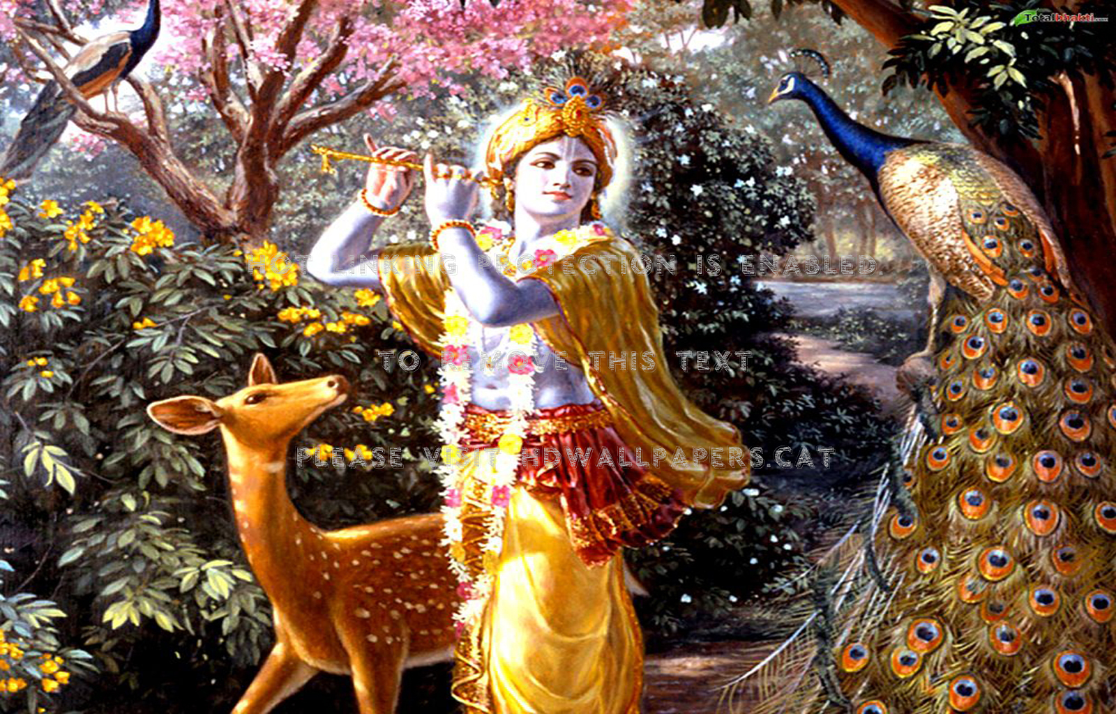 Krishna Vishnu Hare Rama Lord Hinduism God - Krishna Wallpapers For Desktop - HD Wallpaper 