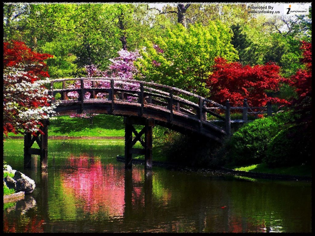 Scenery Wallpaper Flower Scenery Wallpaper Full Hd - Nature Spring - 1024x768 Wallpaper Scenery Wallpaper Flower Scenery Wallpaper Full Hd - Nature Spring - 1024x768 Wallpaper